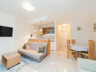 Апартаменты Apartments Spin Будва Апартаменты с 1 спальней и балконом-62